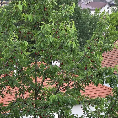 Horizont Apartmans Lägenhet